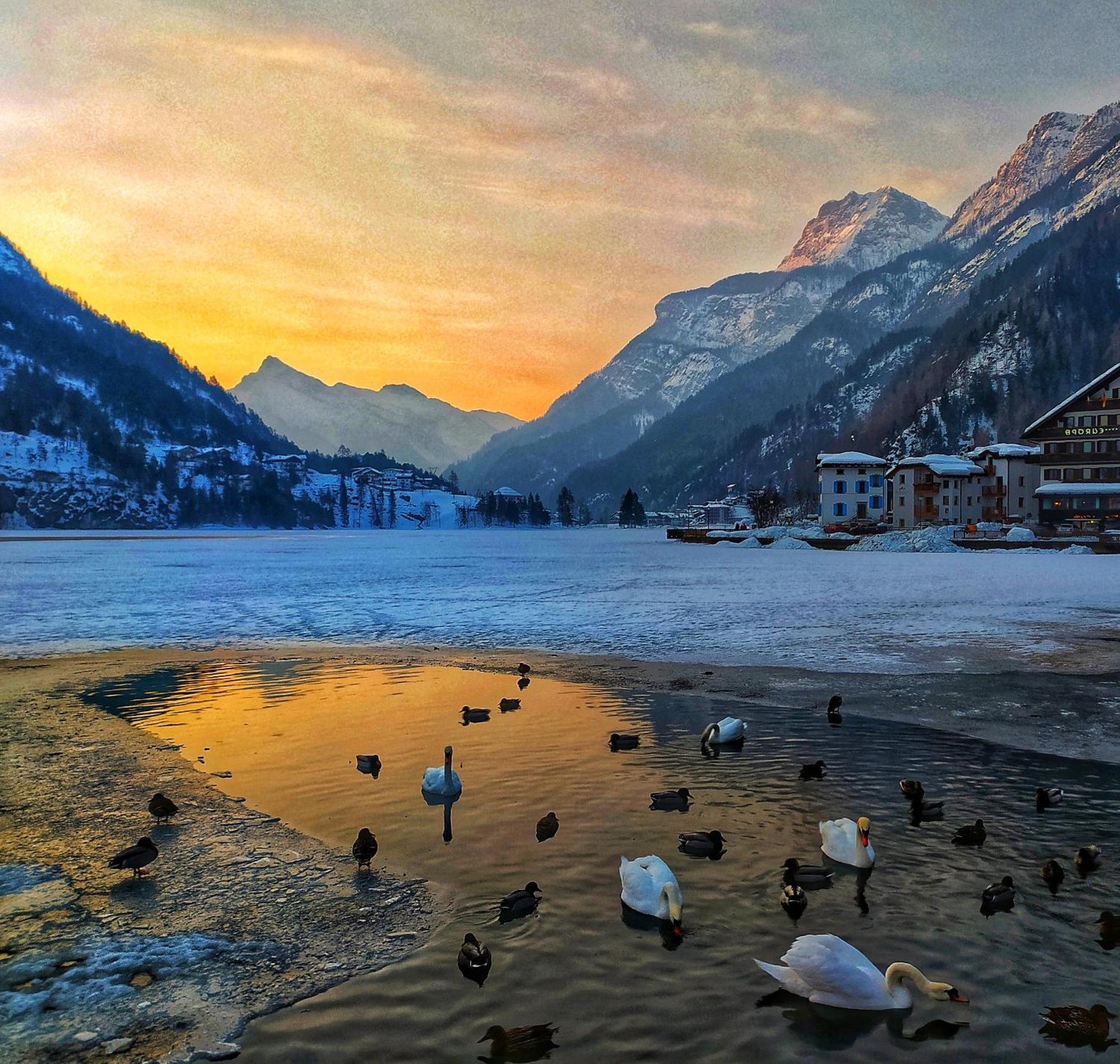 Naturae Lodge Wellness & Spa Alleghe Exterior foto